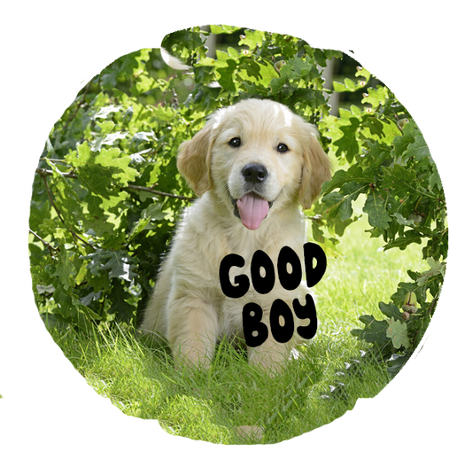 Good Boy badge